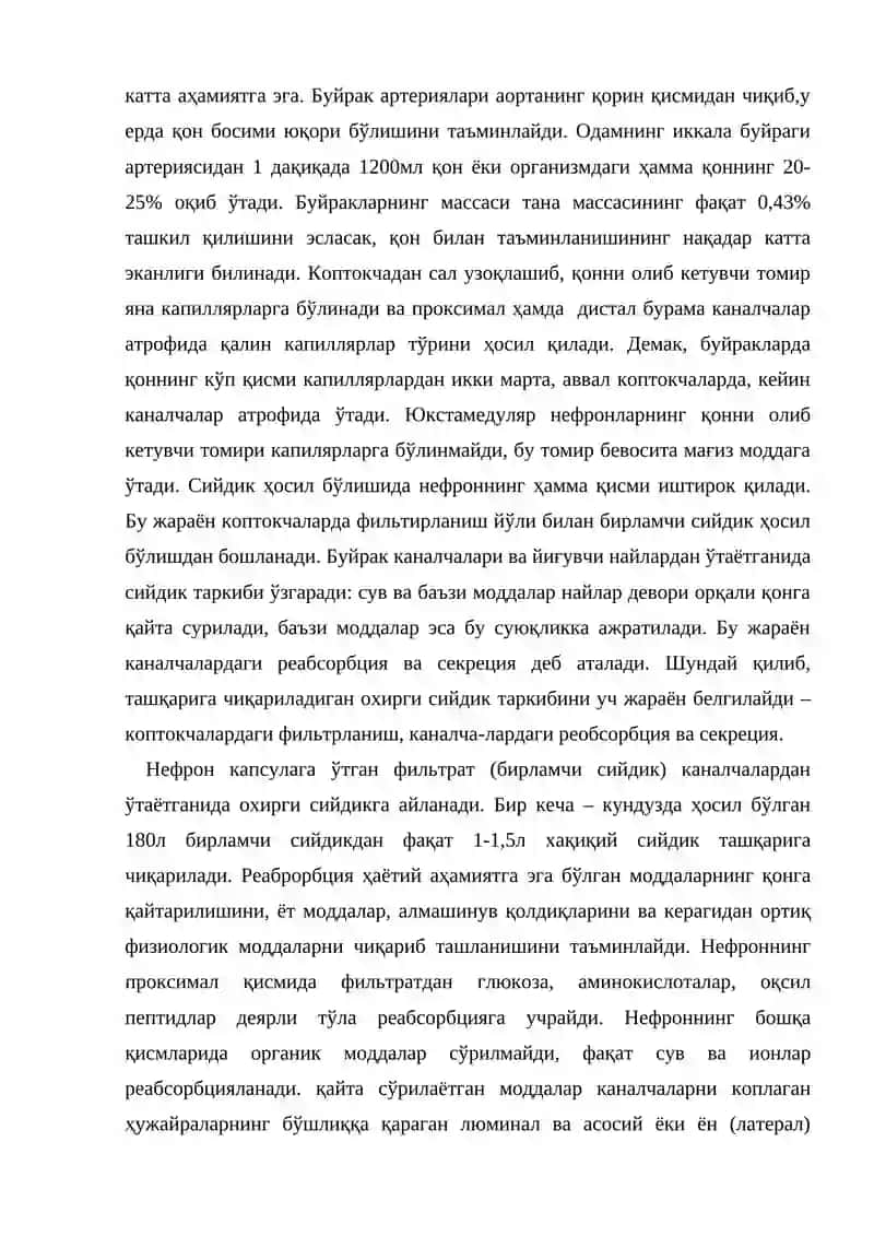 Айирув аъзолари физиологияси 3