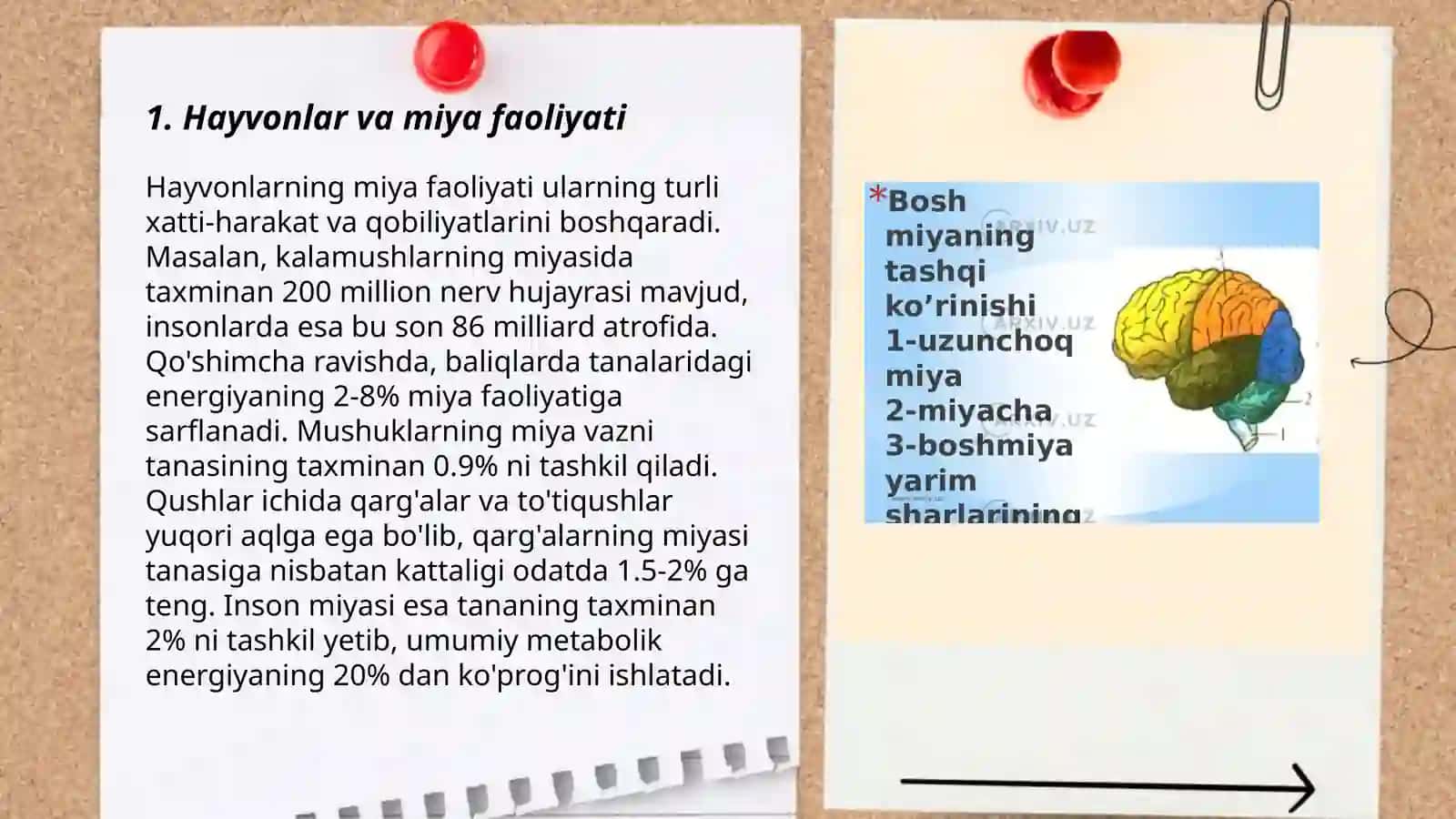 Miya va til. Hayvonlarda intellektual xatti-harakatlar 3