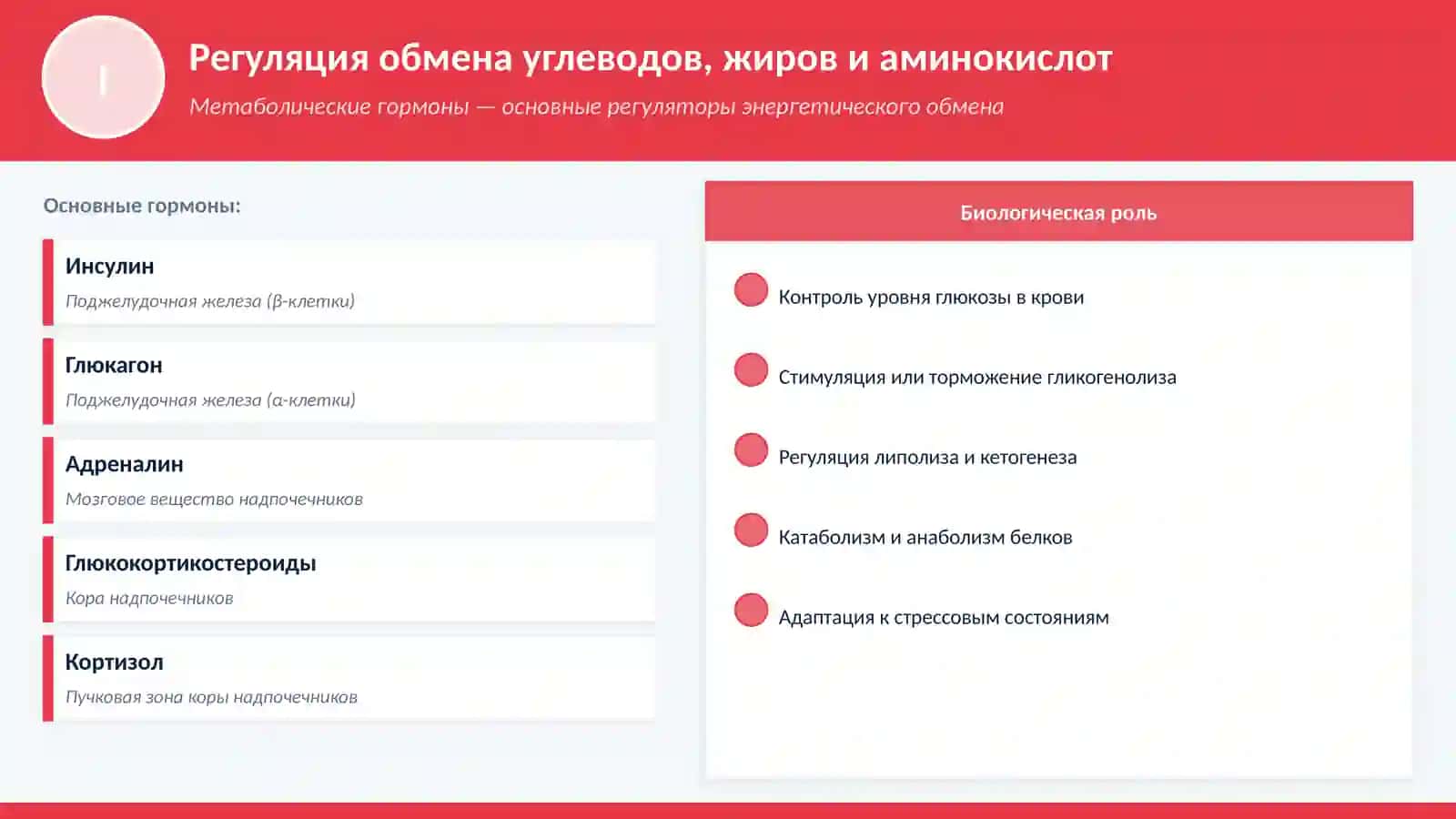 Классификация гормонов 3