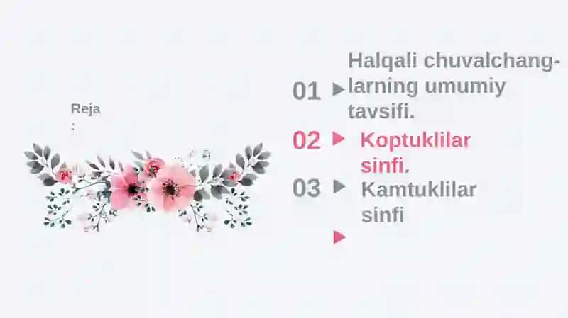 Halqali chuvalchanglar 3