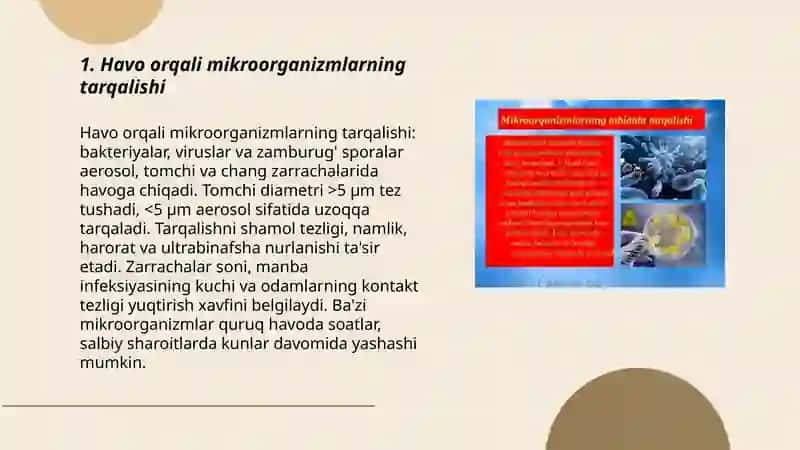 Mikroorganizmlarning tabiatda tarqalishi 3