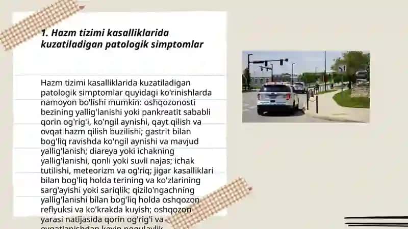 Hazm tizimi kassaligi 3
