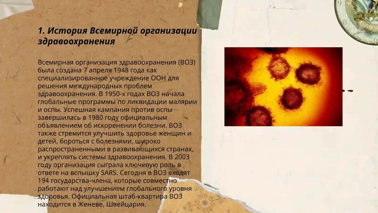История Всемирной организации здравоохранения 3
