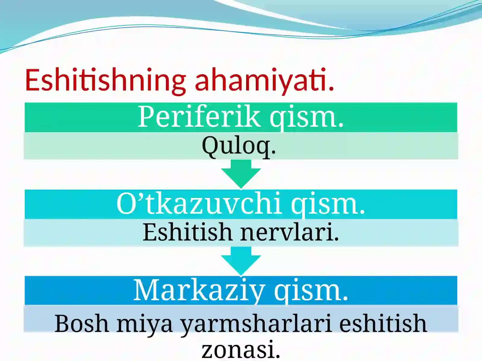 Eshitish analizatori mavzusi 3