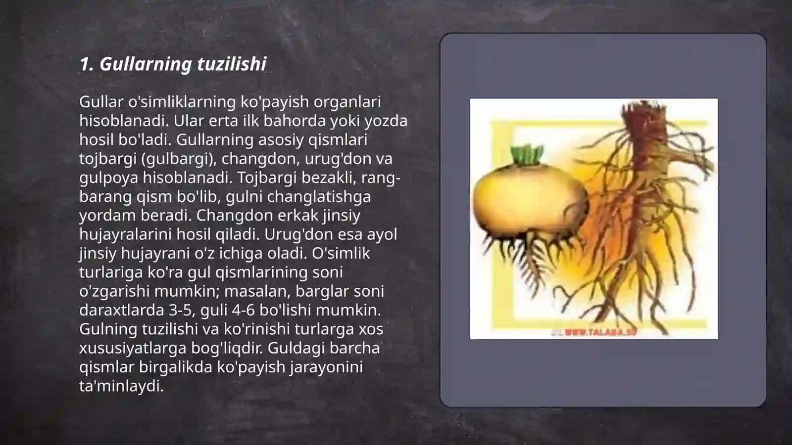 O'simlikning generativ organlari 3