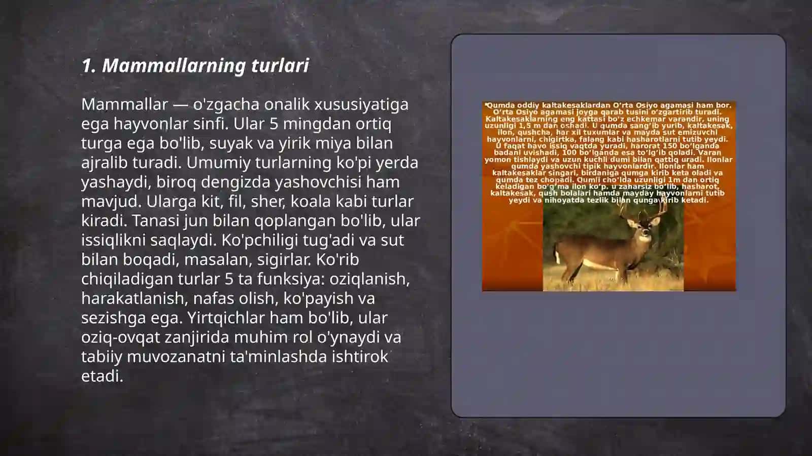 Hayvonot olami 3