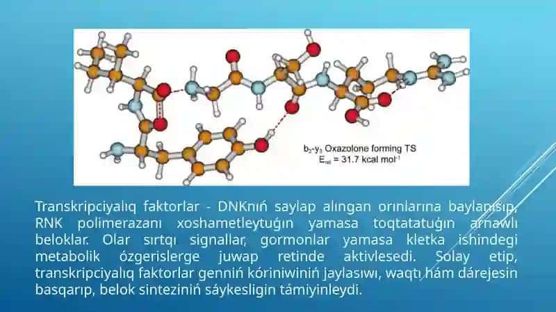 Belok biosinteziniń basqarılıwı 3