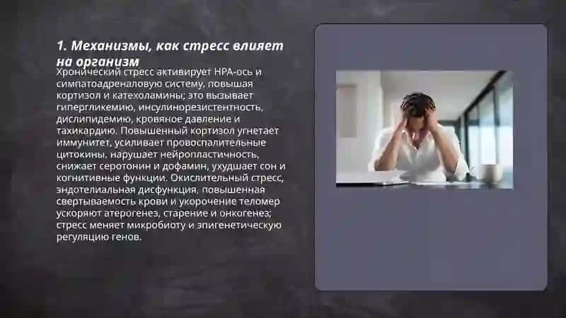 «Стресс – причина всех болезней» 3