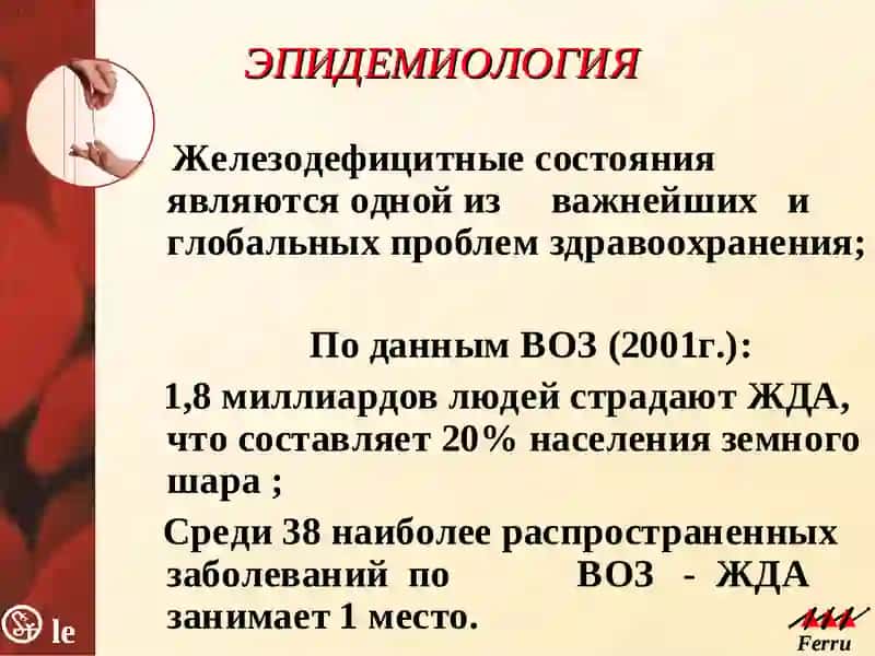 Железодефицитная анемия (ЖДА) 3