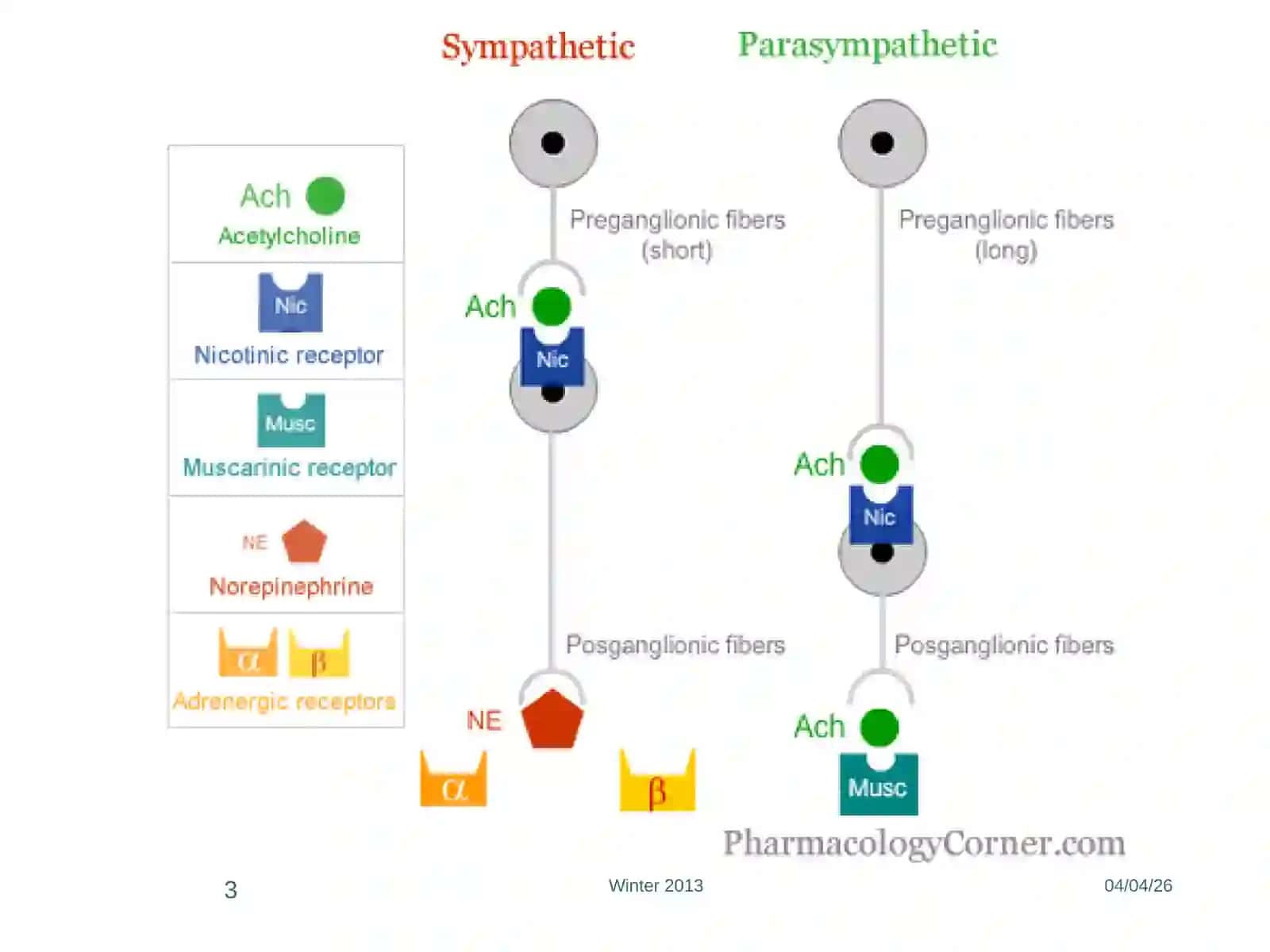 DRUGS AFFECTING THE AUTONOMIC NERVOUS SYSTEM 3