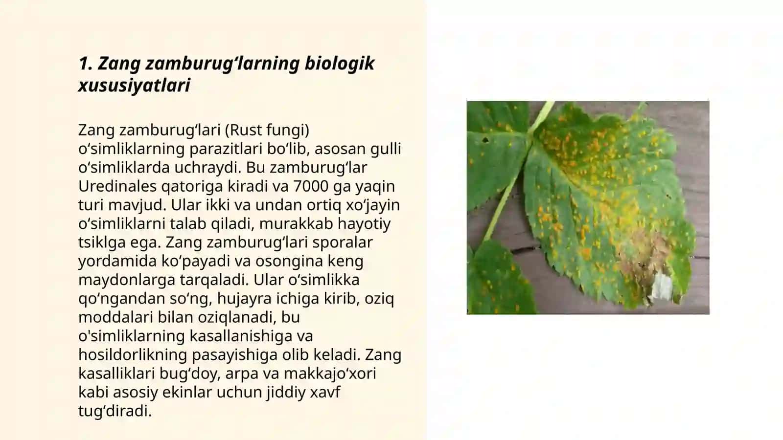Zang zamburugʻlarning biologik xususiyatlari 3