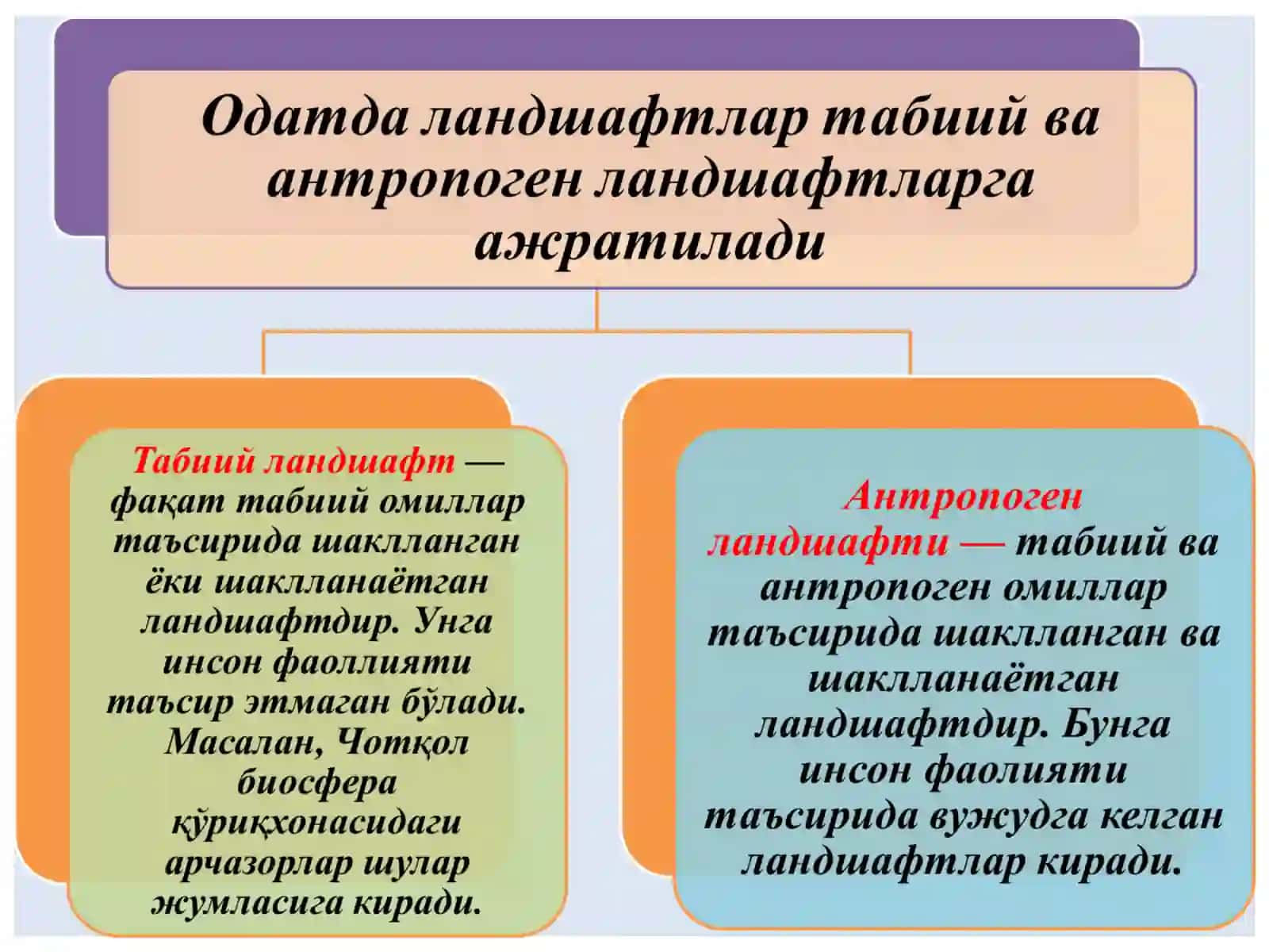 Ландшафт атроф муҳитнинг бир қисми сифатида 3
