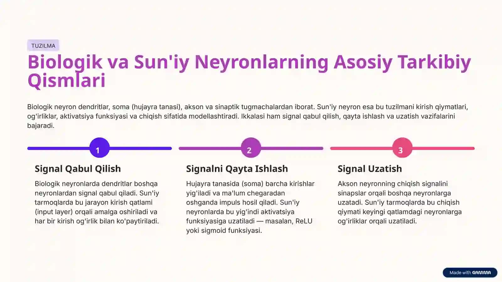 Biologik va Sun'iy Neyron Tarmoqlar 3