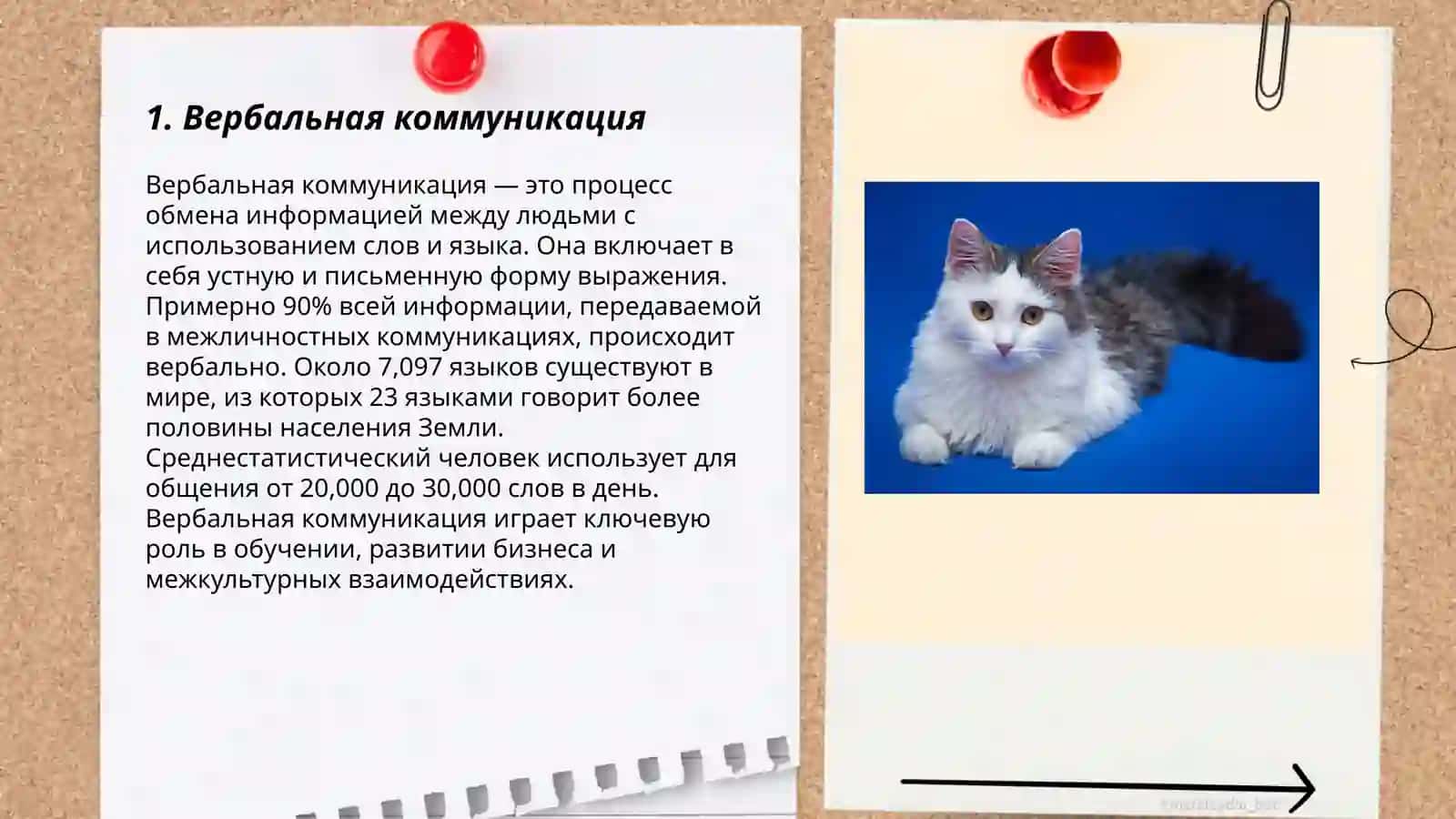 Вербальная коммуникация 3