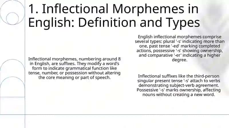 Inflectional morphemes in English 3