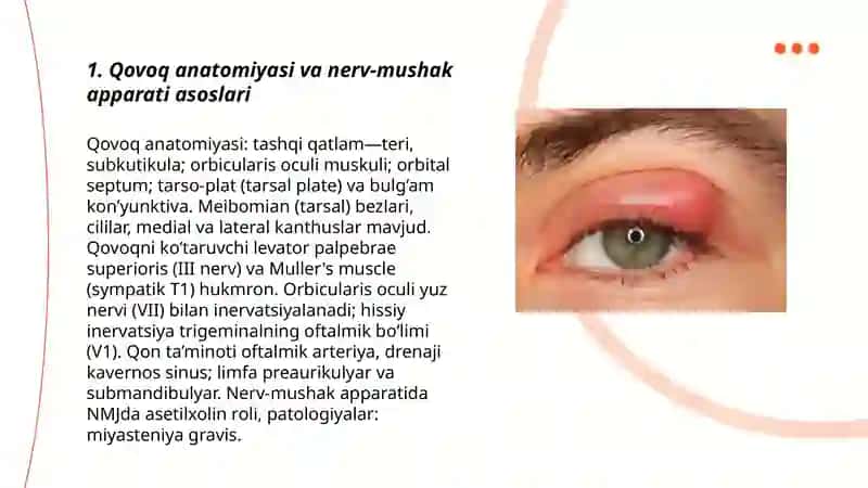 Qovoq kasalliklari va Blefaritlar 3