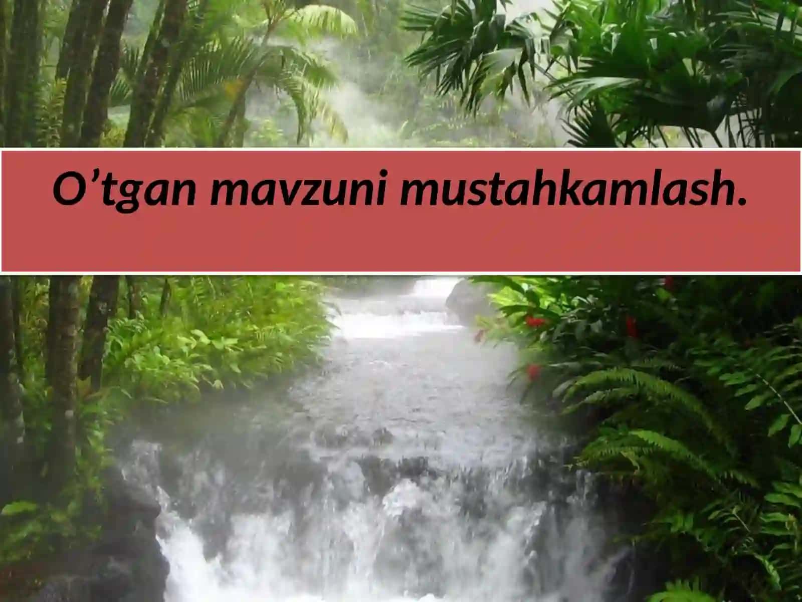 Gapning tuzilishiga ko’ra turlari 3