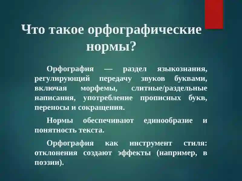 Стилистика орфографические нормы 3