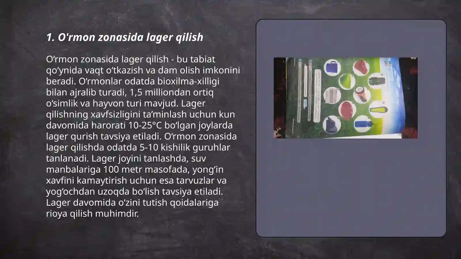 O'rmon zonasida lager qilish 3