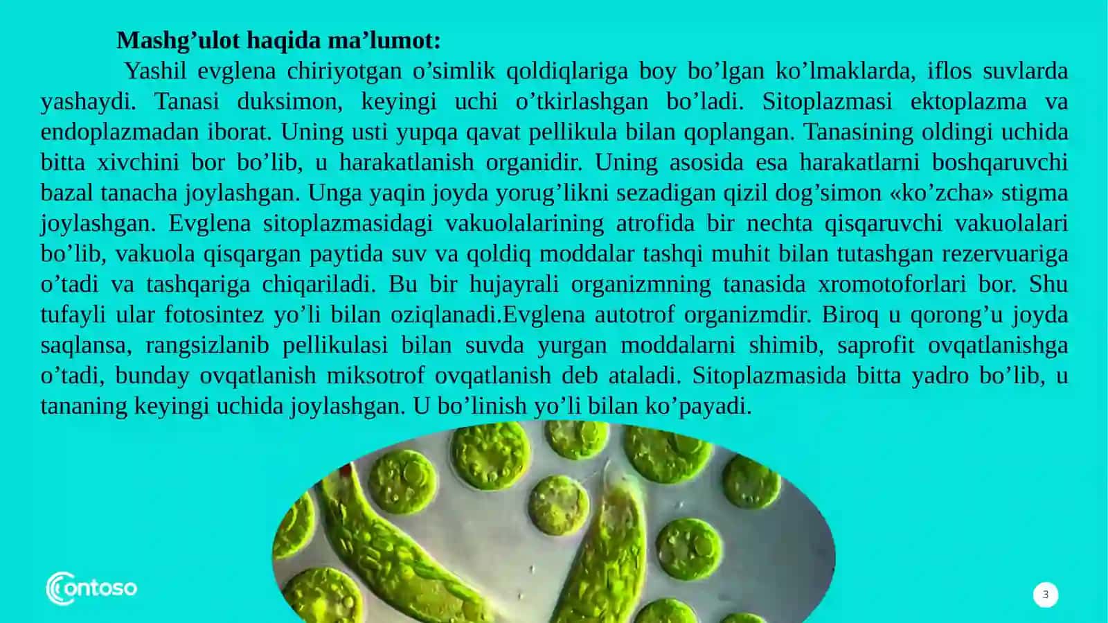 Evglenozoalar(Euglenozoa) 3