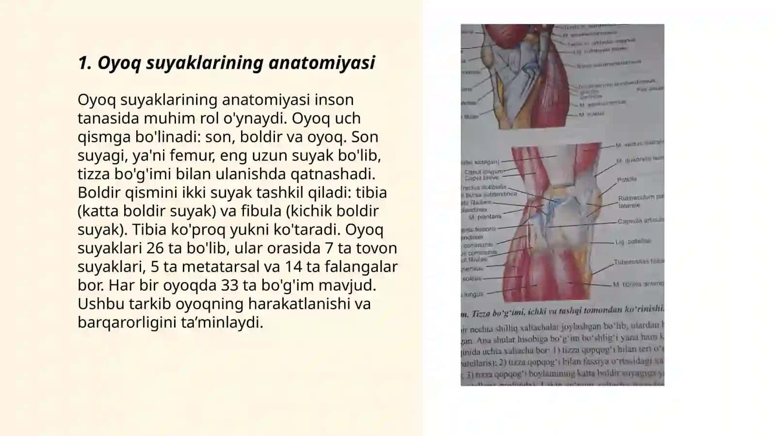 Oyoq suyaklarining birikuvi 3