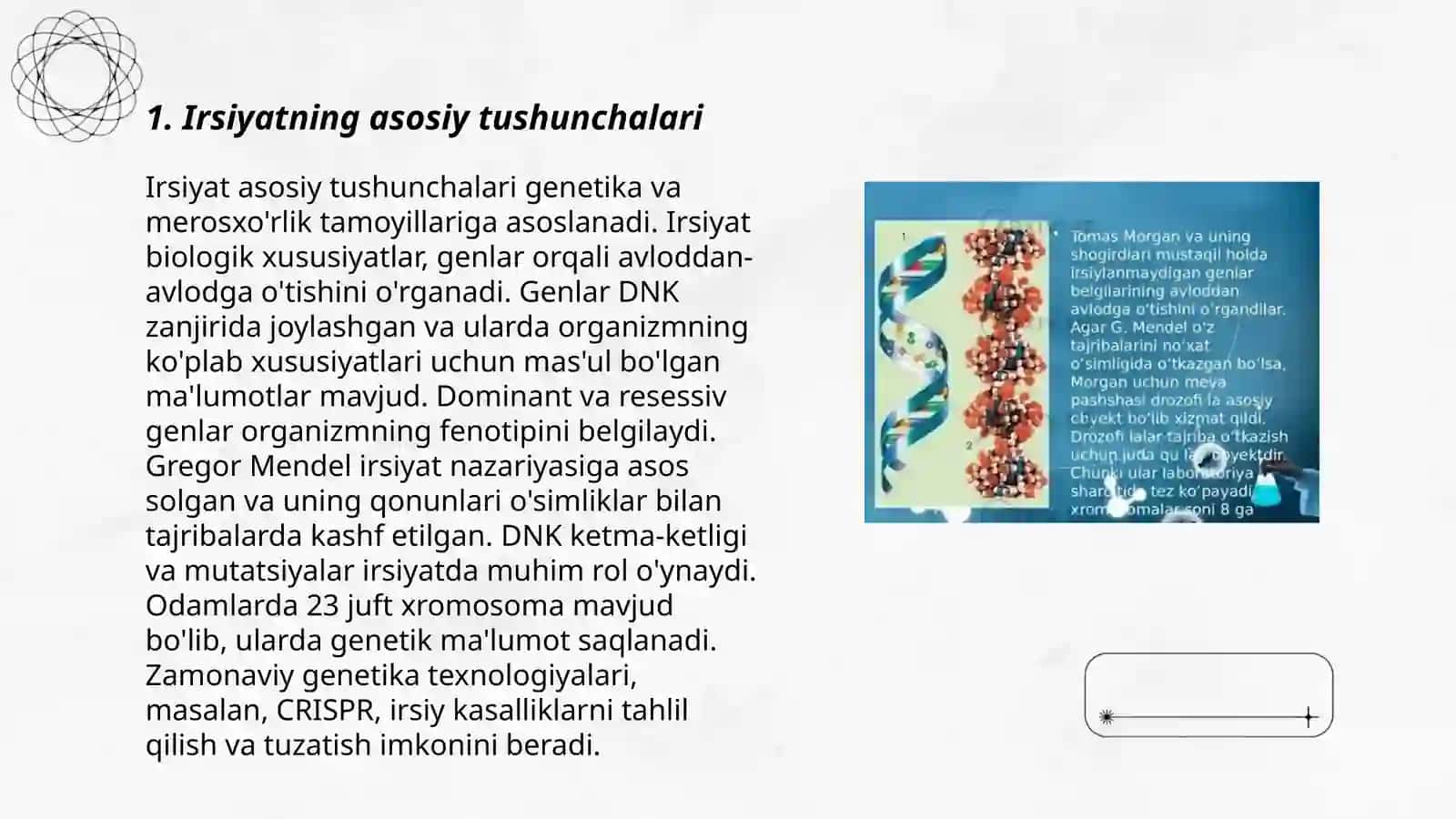 Irsiyatning xromasoma nazaryasi 3