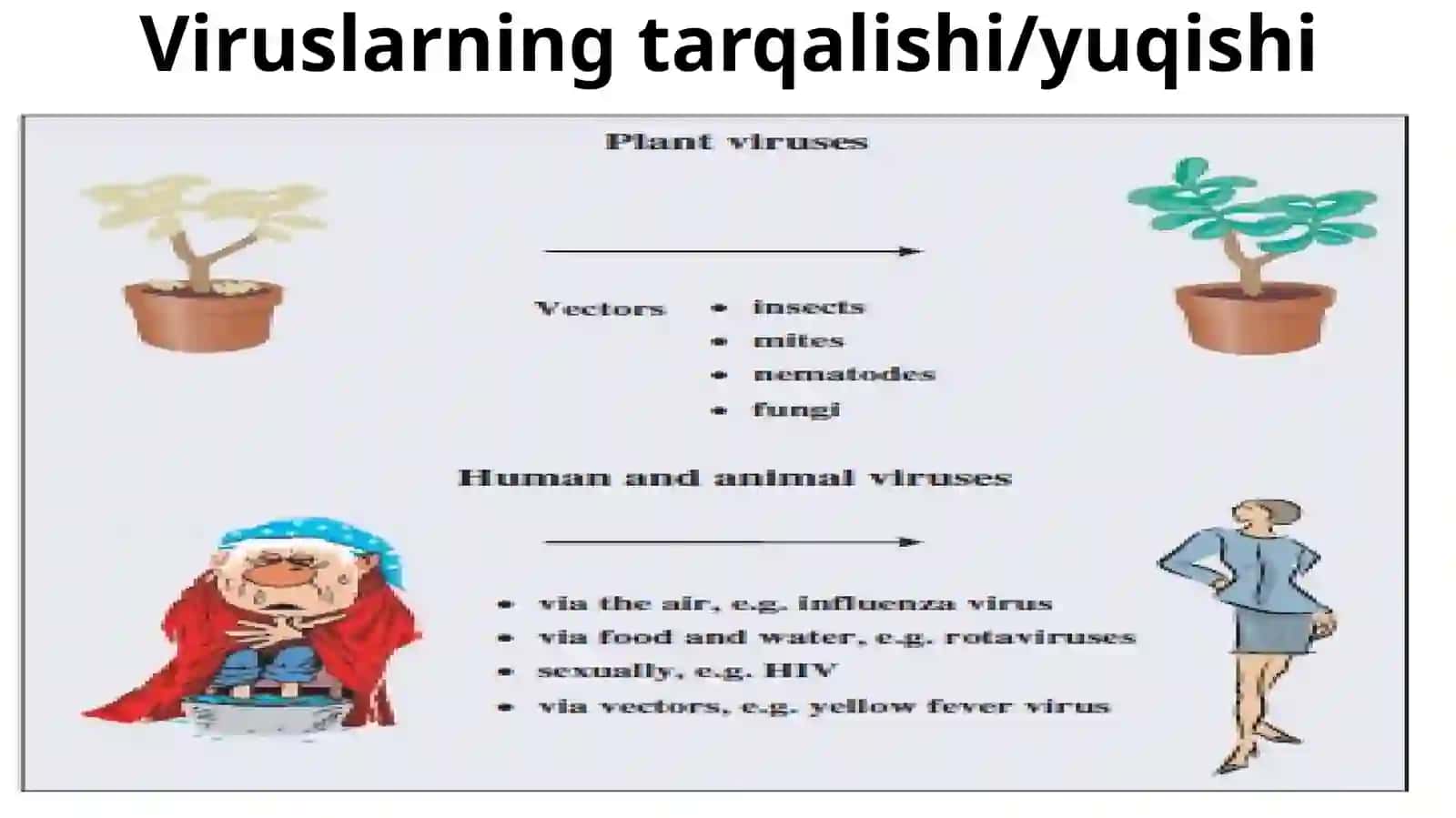 VIRUSLARNING TARQALISHI 3