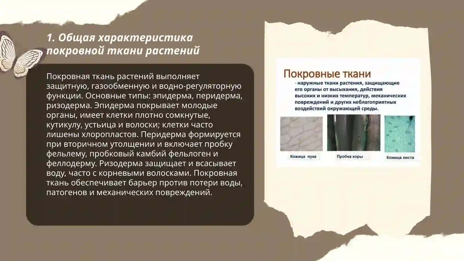 Покровная ткань 3