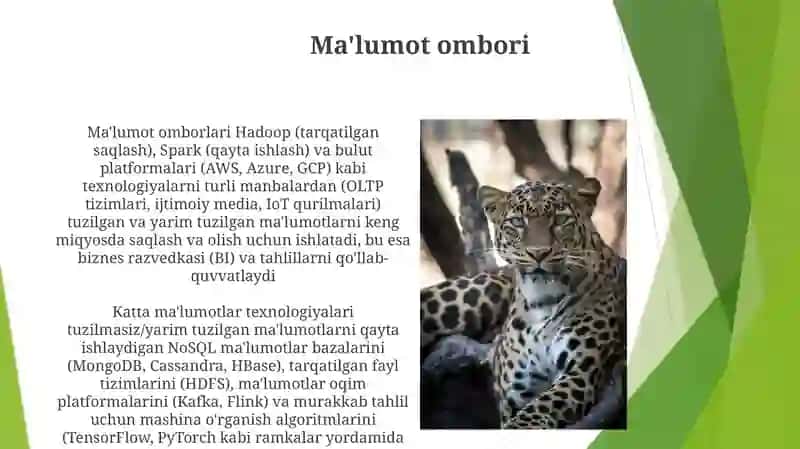 Ma'lumotlar Bazasi Asoslari 3