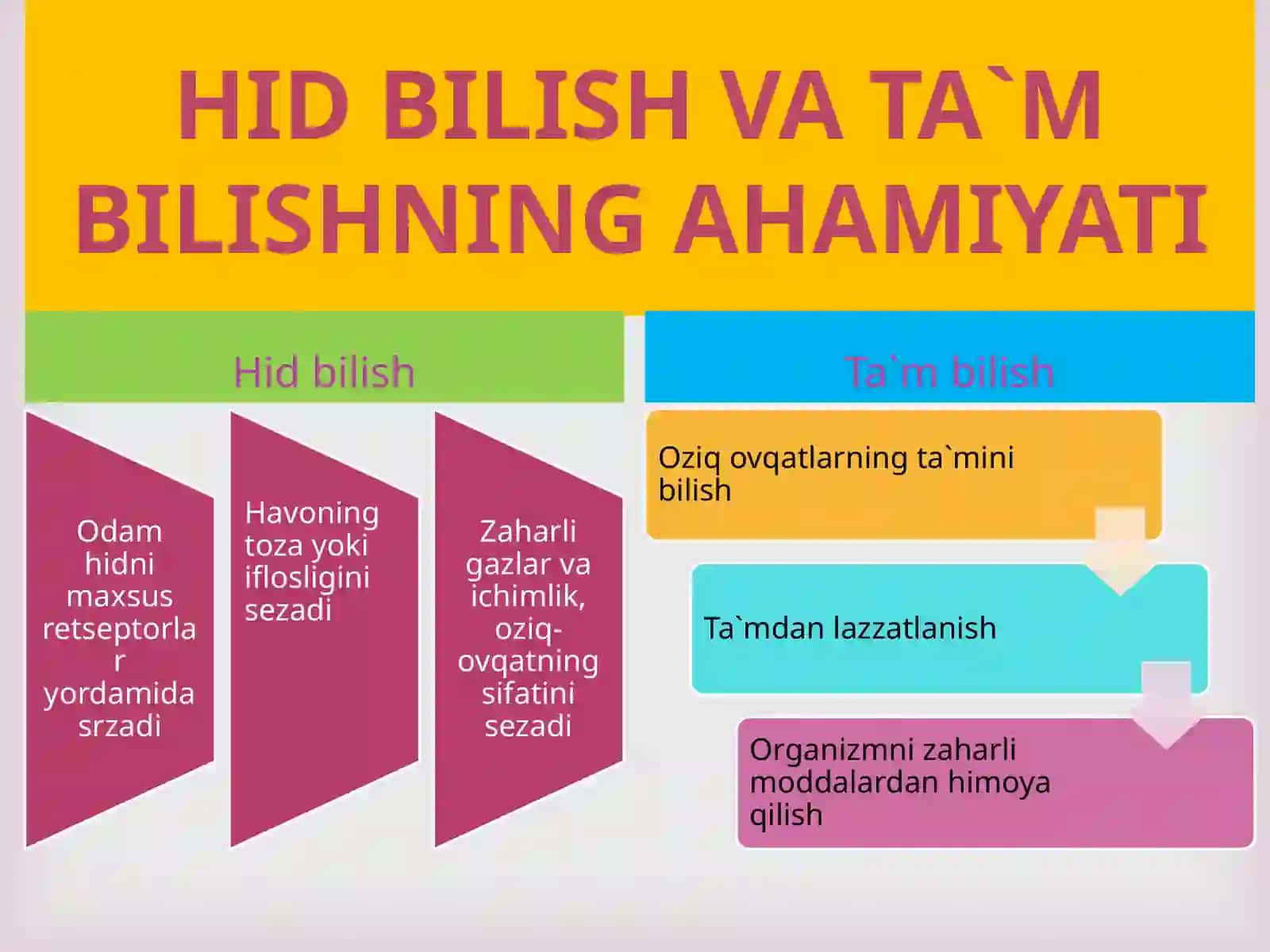 HID BILISH VA TA`M BILISH ORGANLARI 3