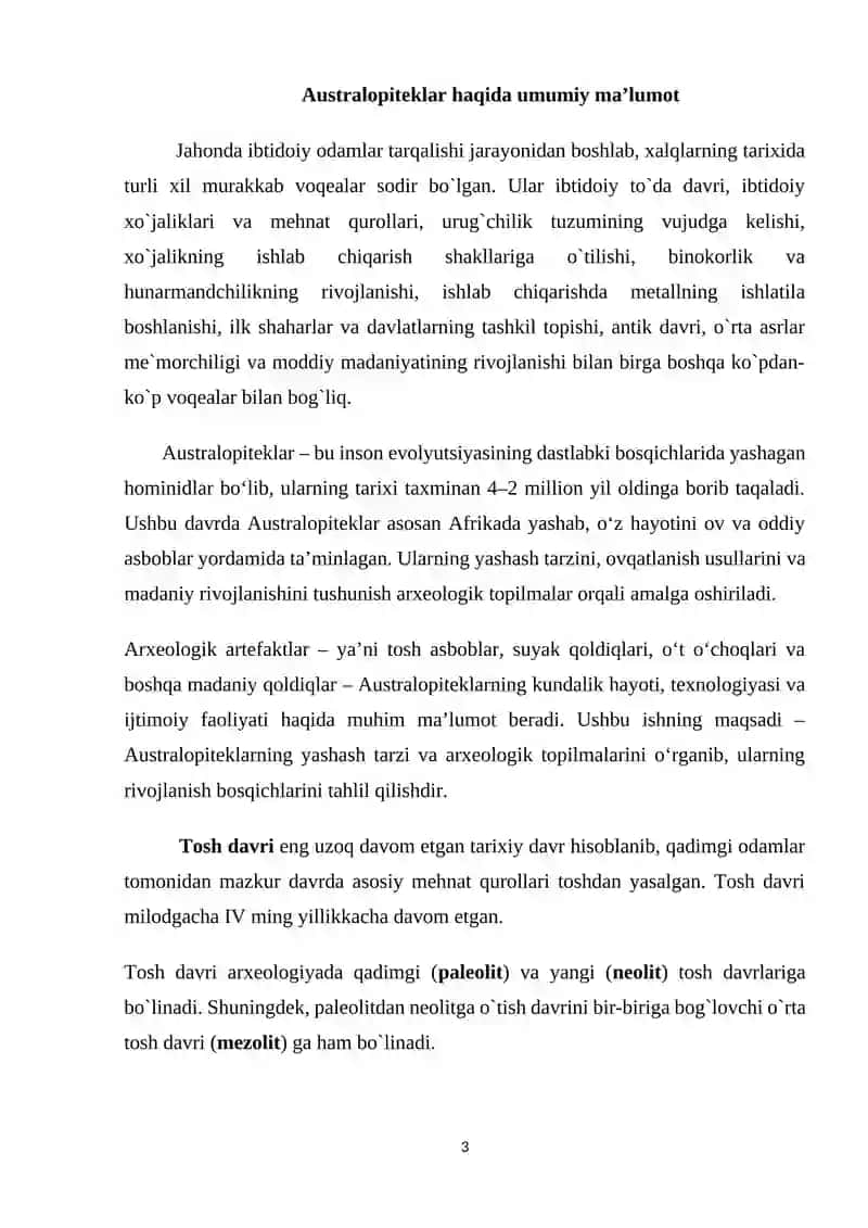 Australopiteklarga tegishli arxeologik artefaktlar 3