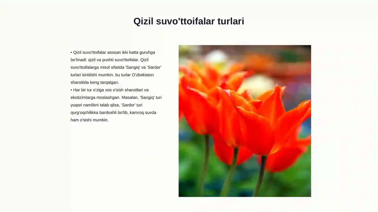 Qizil suvo'ttoifalar 3