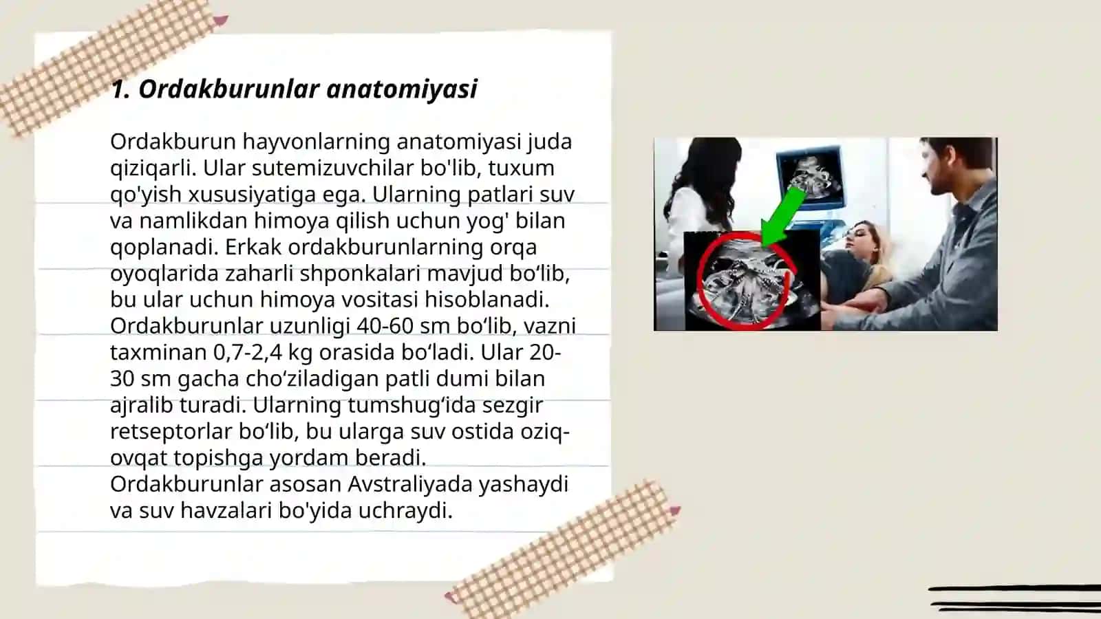 Ordakburunlar xaqida mustaqil ish 3