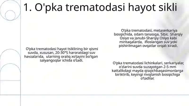 O'pka trematodasi 3