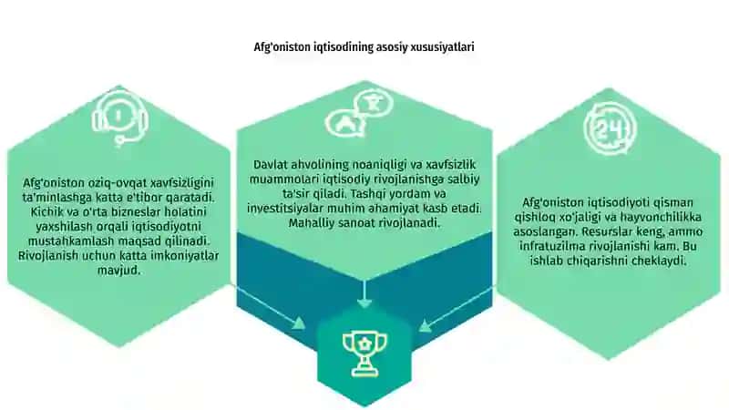 Afg'oniston iqtisodining asosiy xususiyatlari 3