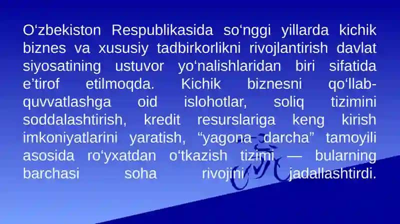 Kichik biznes va xususiy tadbirkorlik 3