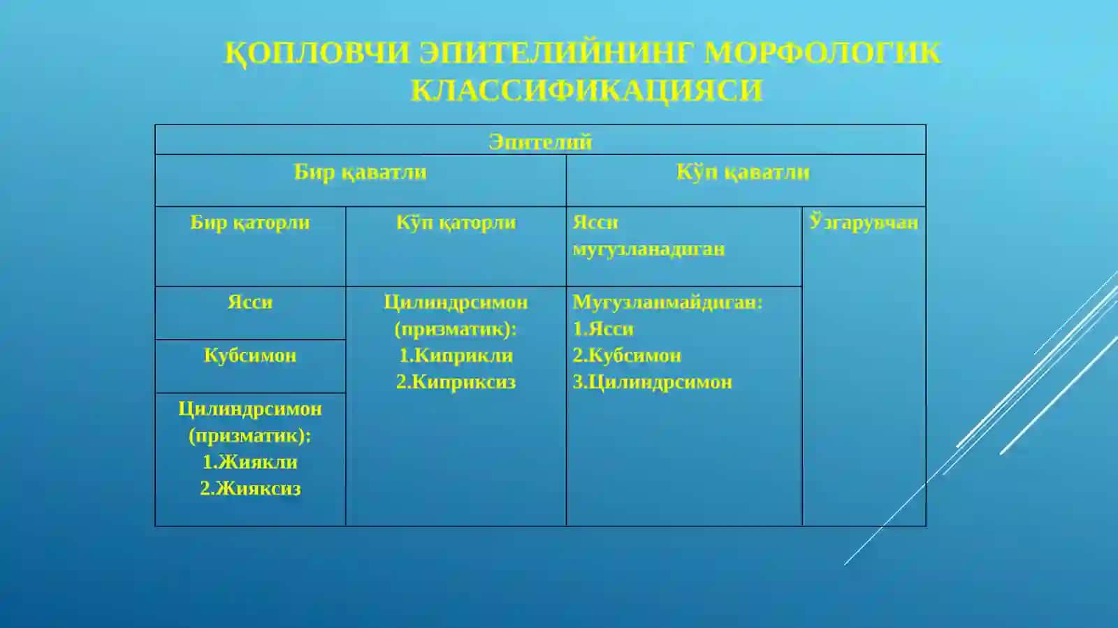 Маъруза№2.Тўқималар. Эпителийтўқимаси 3
