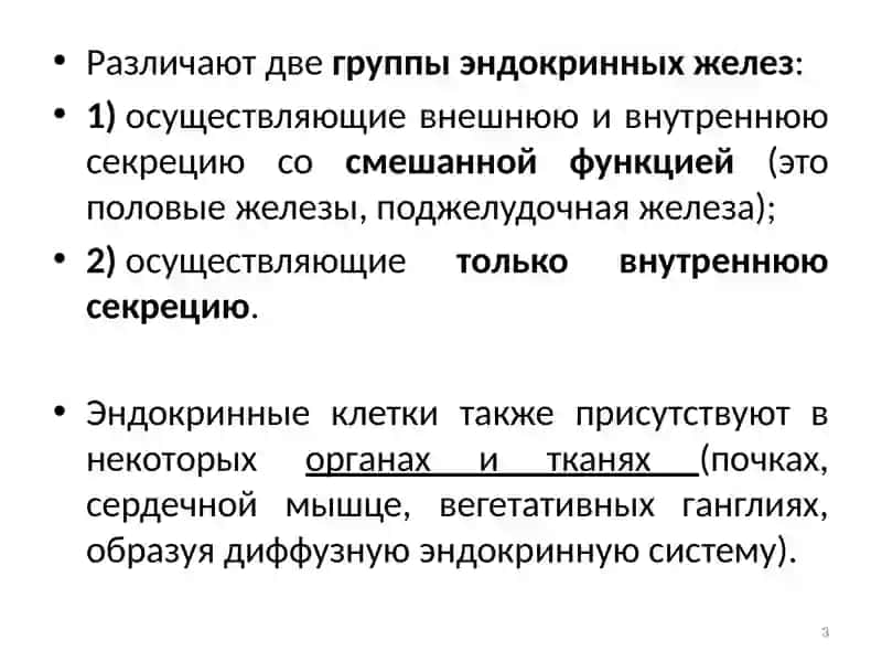 Физиология эндокринной системы 3