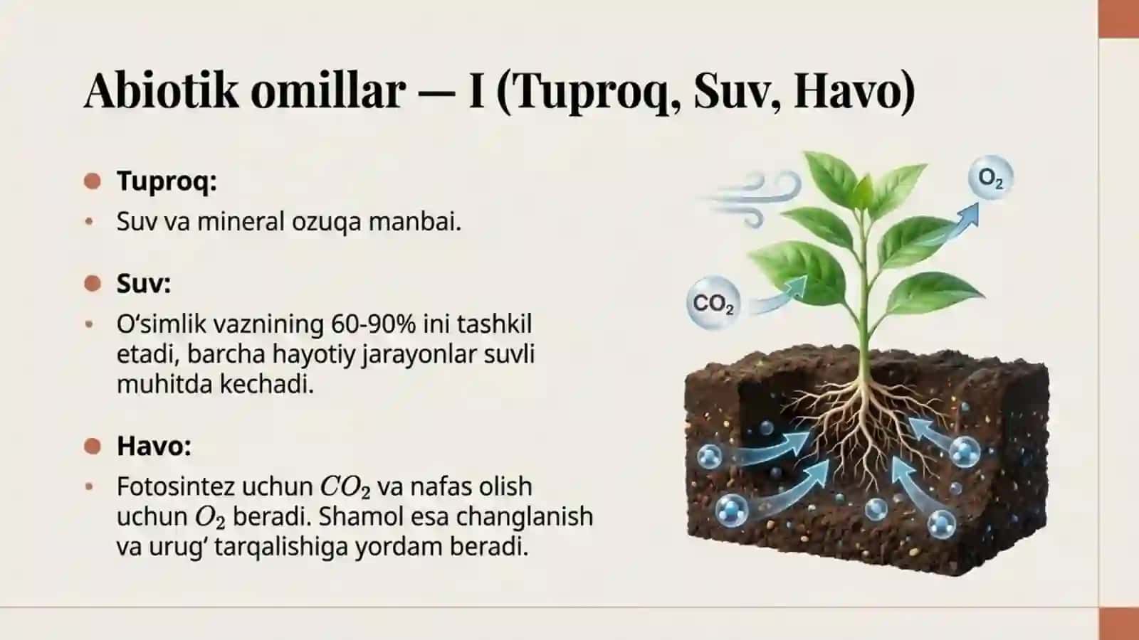 O'simliklarga ekologik omillarning ta'siri 3