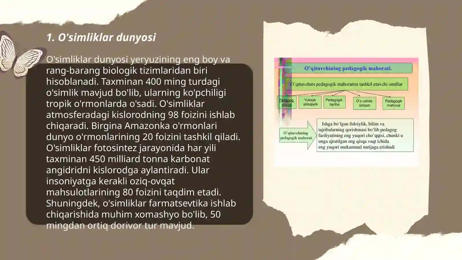 O'simliklar dunyosi 3