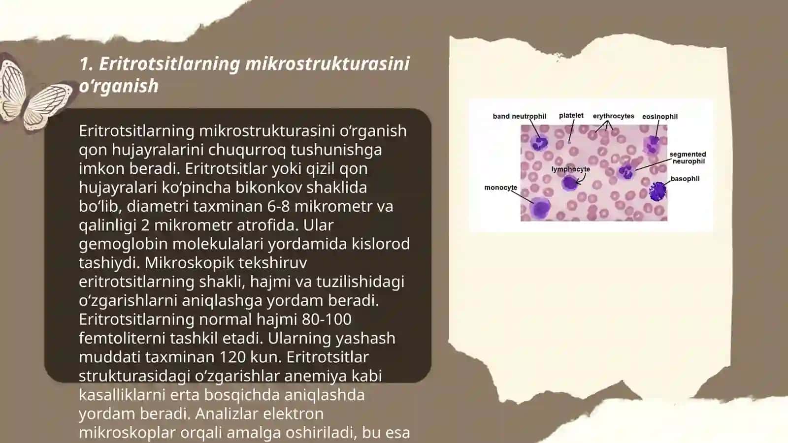 Qonning fizikaviy-kimyoviy xossalari.Eritrotsitlar 3