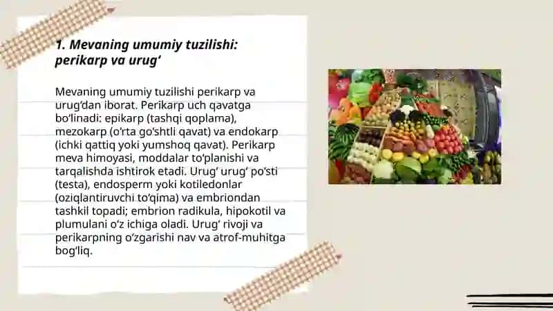 Meva va uruģning tuzilishi 3