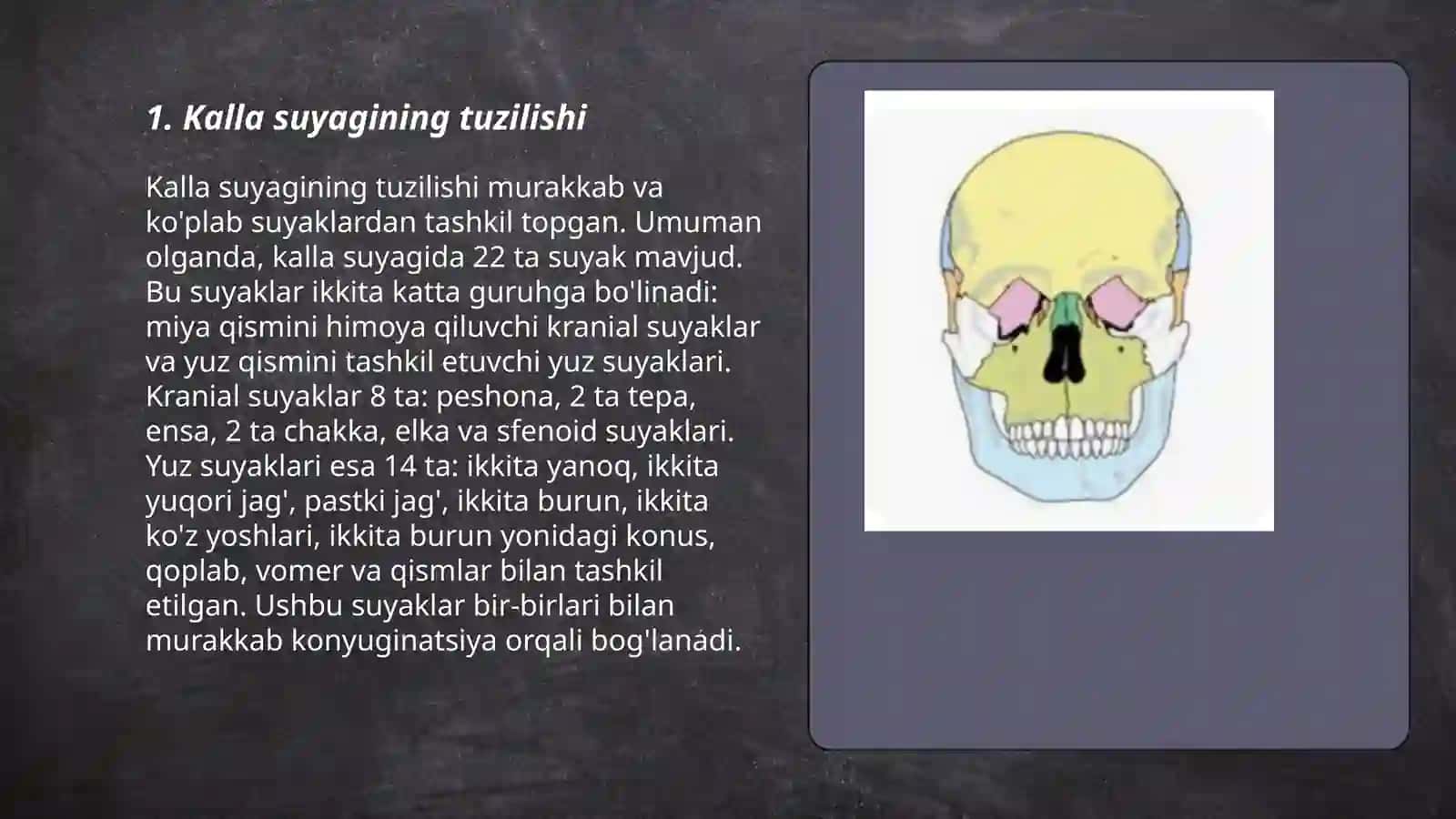Kalla suyaklarining vazifalari 3
