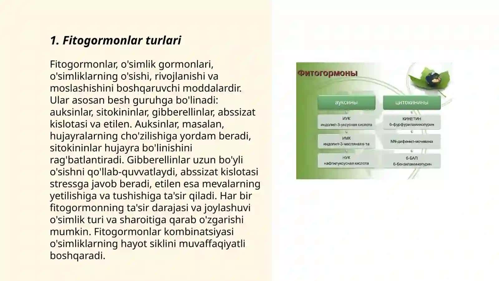 Fitogormonlar 3