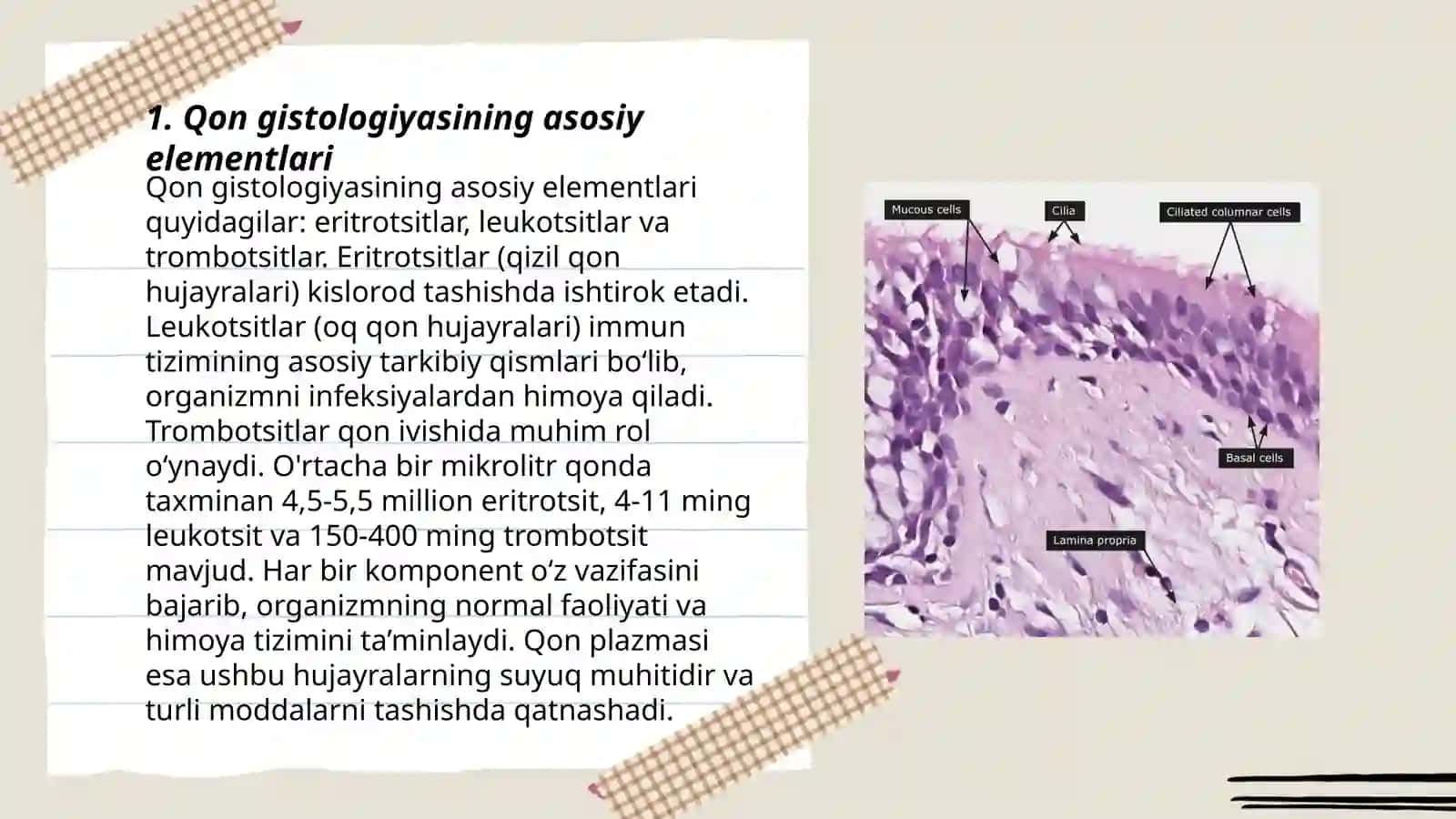 Qon gistologiyasi 3