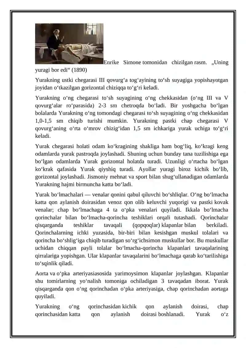 Yurak Mushagi Regeneratsiyasi 3