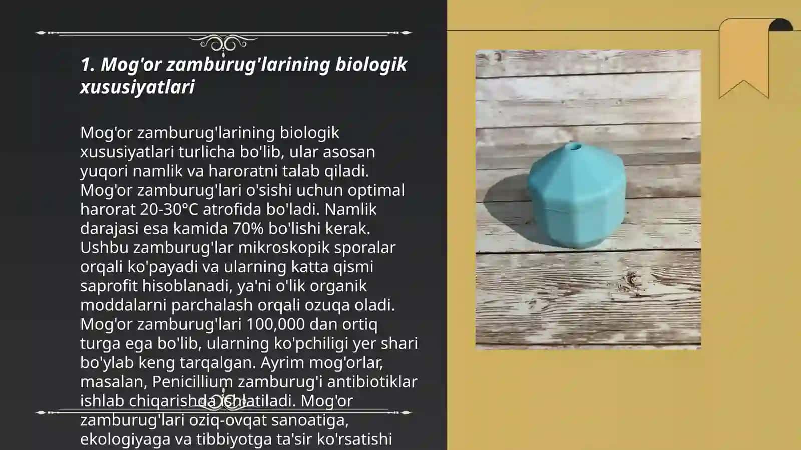 Mog'or zamburug'lari va achitqilar 3