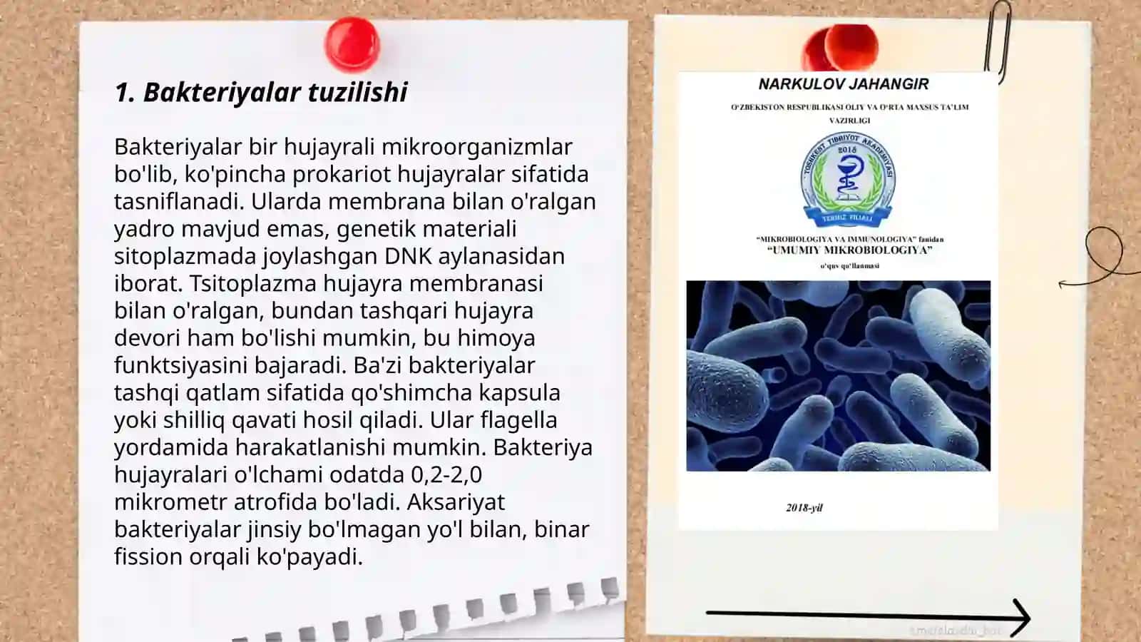 Bakteriyalar, viruslar va zamburug‘lar 3