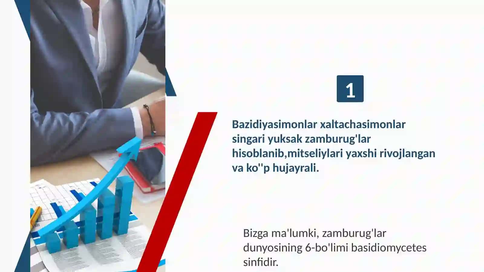 Botanika( tuban o'simliklar) 3