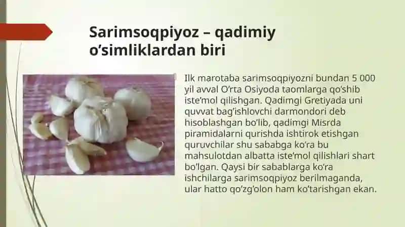 Sarimsoqpiyoz o'simligi 3